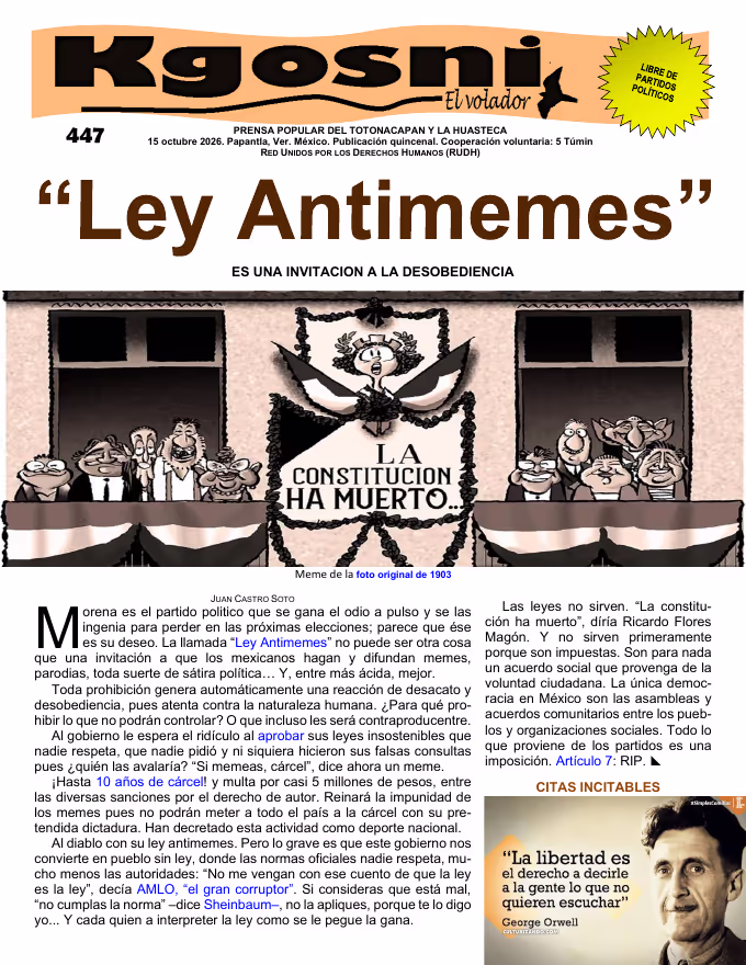 KGOSNI 447 — Ley antimemes